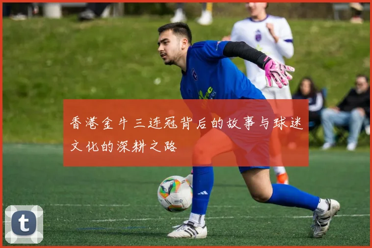 香港金牛三连冠背后的故事与球迷文化的深耕之路