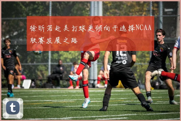 徐昕若赴美打球更倾向于选择NCAA联赛发展之路